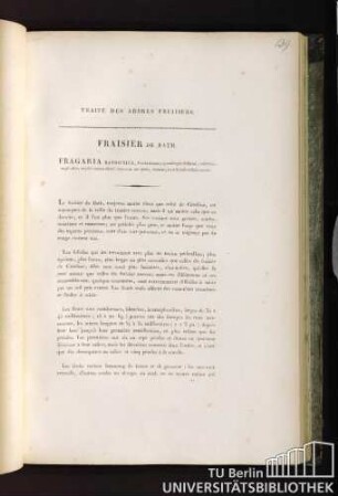 Fraisier de Bath. Duh. Fragaria Bathonica, fructu magno, quandoque deformi, subovato, saepe albo, saepius tamen dilutè incarnato aut igneo, nutante, basi foliolis calicis onusto.