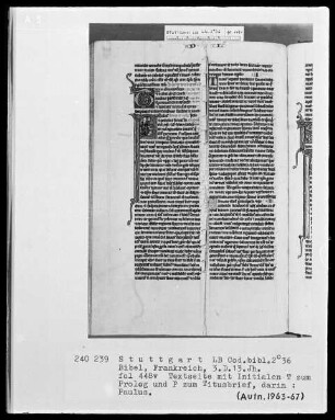 Bibel — Initiale P (aulus), darin der Apostel Paulus, Folio 448verso