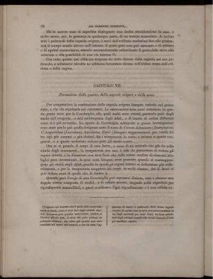 Capitolo VII.