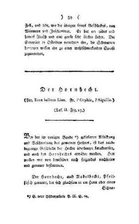 ¬Der¬ Hornhecht : (Lat. Esox bellone Linn ; Fr. l'Orphie. l'Aiguille) ; (Taf. II, Fig. 13)
