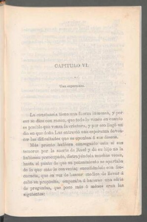 Capítulo VI. - Una esperanza.