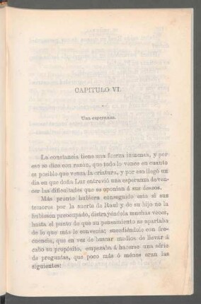 Capítulo VI. - Una esperanza.