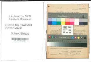 Entnazifizierung Elfriede Schrey , geb. 03.05.1893 (Gastwirt)