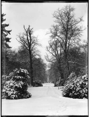 Karlsruhe Fasanengarten Landschaftsbild