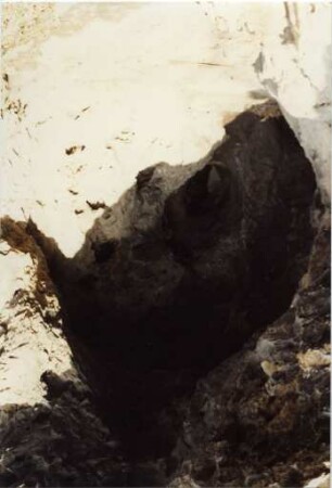 Am Ölberg