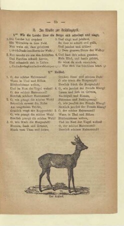 II. Zum Walde zur Frühlingszeit