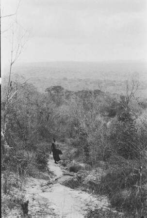 Ntandi vom Likonde-Plateau : Blick in eine Savannenlandschaft