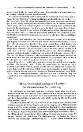 VII. Der histologisch-angiogene Charakter der rheumatischen Nervenstörung