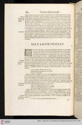 Metamorphoses