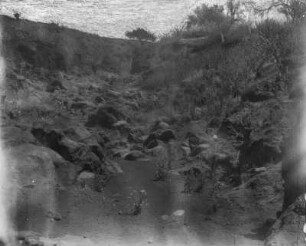 Landschaft : Die Küstenumgebung von Fogo mit Gestein und Vegetation.