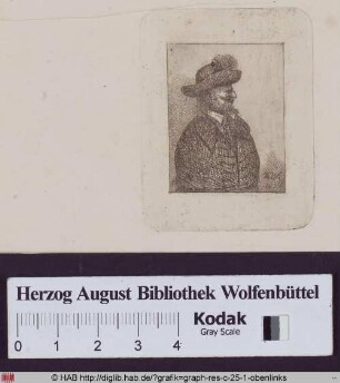 Männliches Brustbildnis mit Kopf im Profil.
