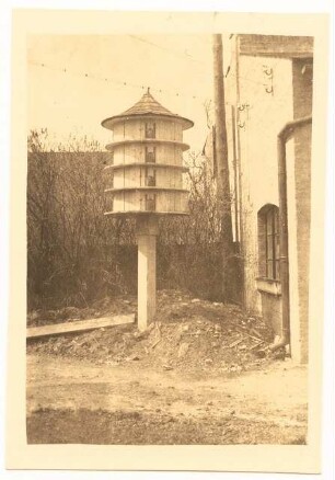 Taubenhaus: Taubenhaus