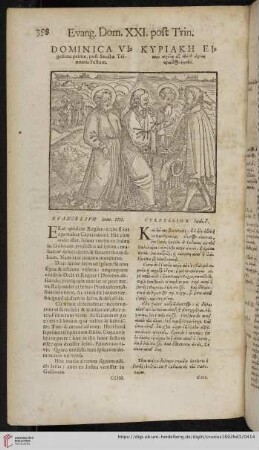 Dominica vigesima prima, post Sanctæ Trinitatis Festum