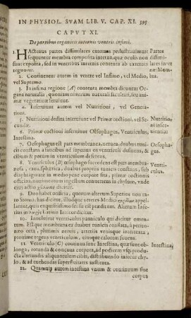 Caput XI. De partibus organicis internis ventris insimi