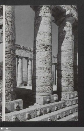 Segesta. Stylobat und Säulen vom Peripteros des Elymer-Freialtars