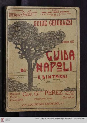 Guida di Napoli e Dintorni : illustrazioni del pittore Troiano : vedute fotografiche e pianta topografica della città