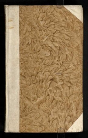Das kleine biblische Erbauungsbuch