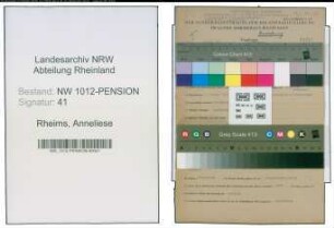 Entnazifizierung Anneliese Rheims , geb. 11.01.1913 ()