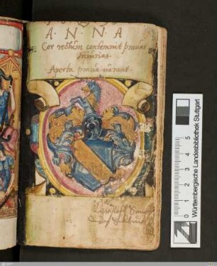 Christoph Senfft von Sulburg, Eintrag und Wappen
