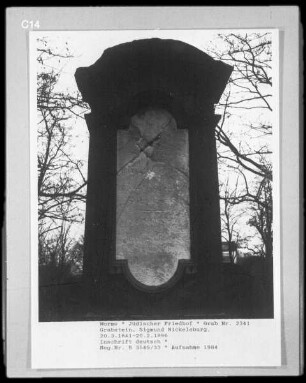 Grabstein von Sigmund Nickelsburg (gestorben 1896.02.20)