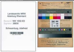 Entnazifizierung Adelheid Schauenburg, geb. 16.12.1900 (Lehrerin)