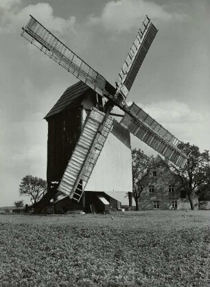 Falkenhain. Windmühle. Ansicht der Flügelseite