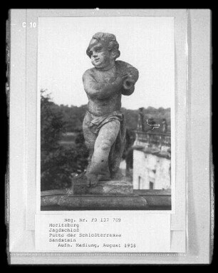 Putto