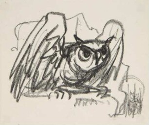 Eule