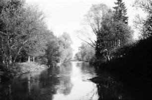 Donaueschingen: Junge Donau im Schlosspark