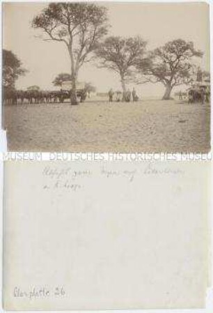 Offiziere der Schutztruppe für Deutsch-Südwestafrika mit zwei Ochsenwagen zur Abfahrt von Keetmanshoop nach Lüderitzbucht