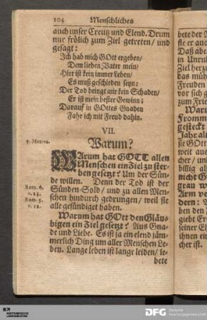 VII. Warum?
