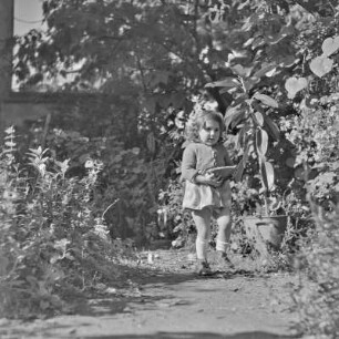 Garten eines Wohnhauses in Plowdiw