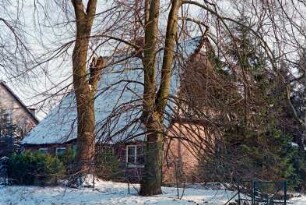 Dorfstraße 89: traufständige Kate mit Reetdach: Straßenfront: Giebelseite: Vorgarten, Bäume, Maschendrahtzaun, Gartentor