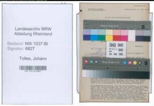 Entnazifizierung Johann Tolles , geb. 16.02.1893 (Gastwirt)