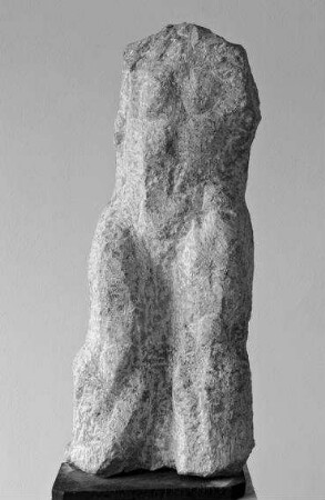 Weiblicher Torso