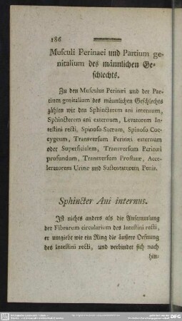 Musculi Perinaei und Partium genitalium des männlichen geschlechts