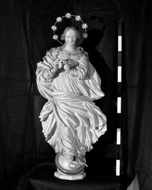 Immaculata
