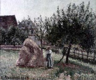 Besonnter Apfelbaum
