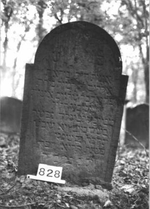 Grabstein 828 (Index: 99899229) Material: Sandstein Zustand: stellenweise angewittert Maße HxBxT: 105x63x10 cm Beschreibung: Stele mit eingezogenem Rundbogenbschluss, im Bogenfeld Levitenkanne Symbolik: Levitenkanne Besonderheit: Levitenkanne selten auf Frauengrabsteinen: Grabstein 828