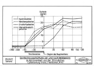 Ocytocinausschüttung vor und nach Melkbeginn in Abhängigkeit von der Stimulation