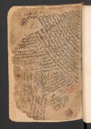 al-Fawāʾid aḍ-Ḍiyāʾīya fī Šarḥ al-Kāfiya
