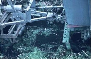 Fotografie: Kartoffel, Erntetechnik, Kartoffelsammelroder, Rodeorgan