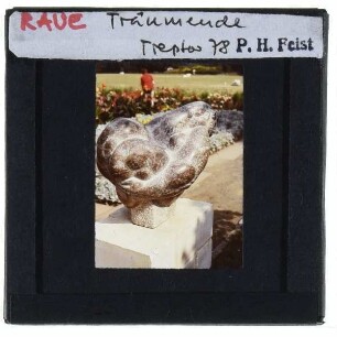 Raue, Träumende