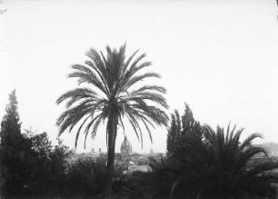 Blick auf Rom