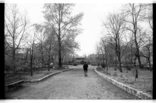Kleinbildnegativ: Promenade, 1980