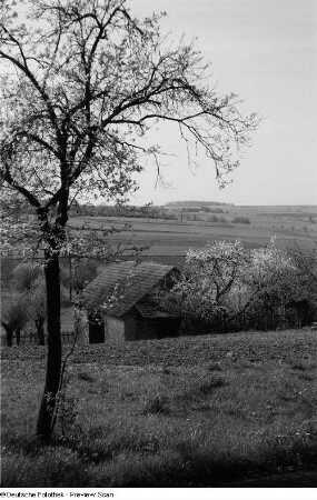 Blick über Felder