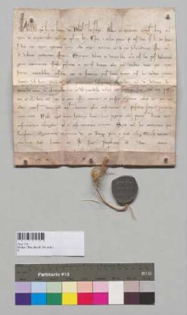 Papst Honorius [III.] nimmt das Kloster Oberaltaich mit seinen Kirchen Aiterhofen, Bogenberg, Kreuzkirchen und Mitterfels in seinen Schutz.; S: A