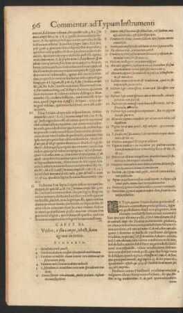 Caput XI. Verbo, o seu campo, id est, suum agrum: in tertio