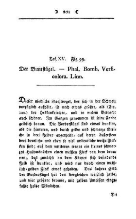 ¬Der¬ Bundflügel : Phal. Bomb. Verficolora. Linn ; Taf. XV, Fig. 99