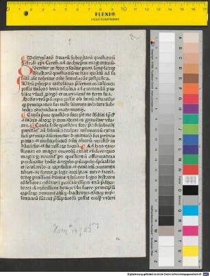 Determinatio duarum questionum